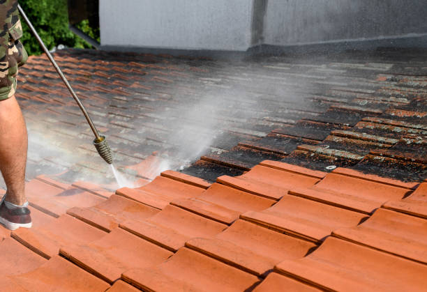 Best House Pressure Washing  in South Bradenton, FL